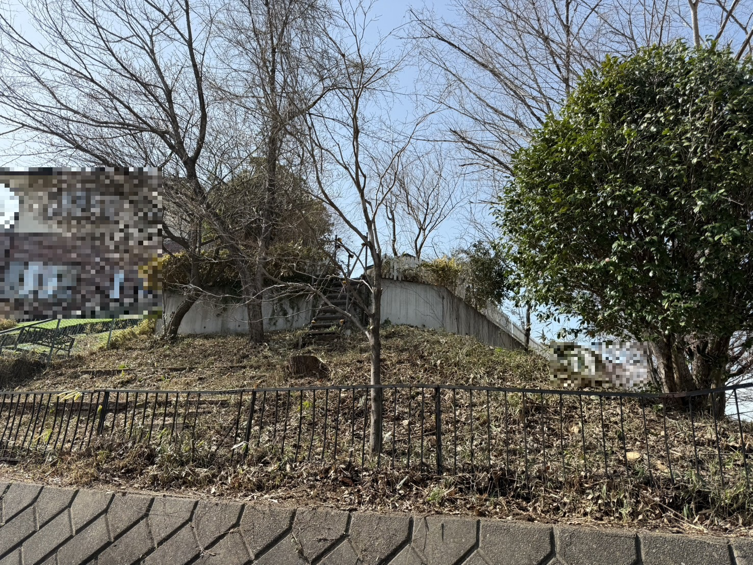 伐採および草刈